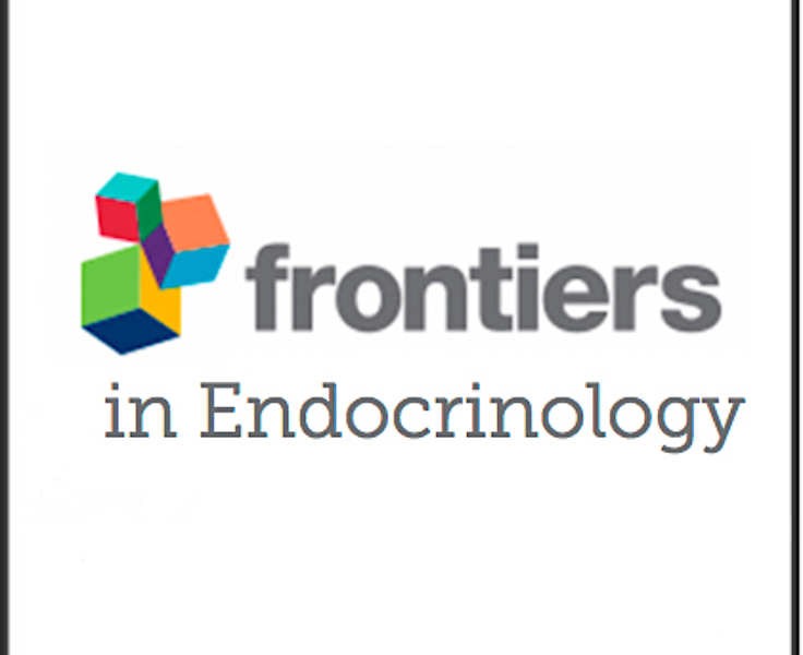 Our early feasibility study on hANDY-i parathyroid autofluorescence ...